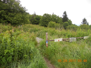 Entrance of Trail to FD Site
